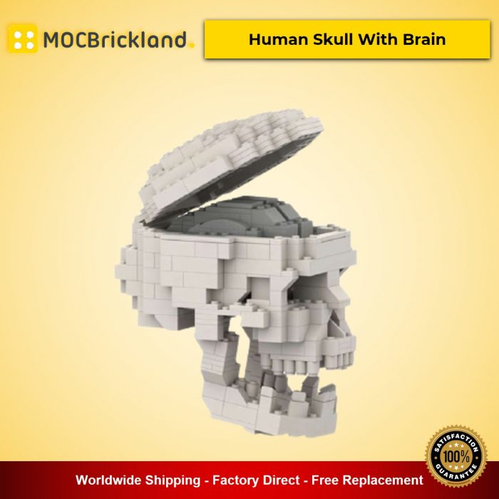 Creator MOC-41161 Human Skull With Brain by MyKidisanAlien MOCBRICKLAND