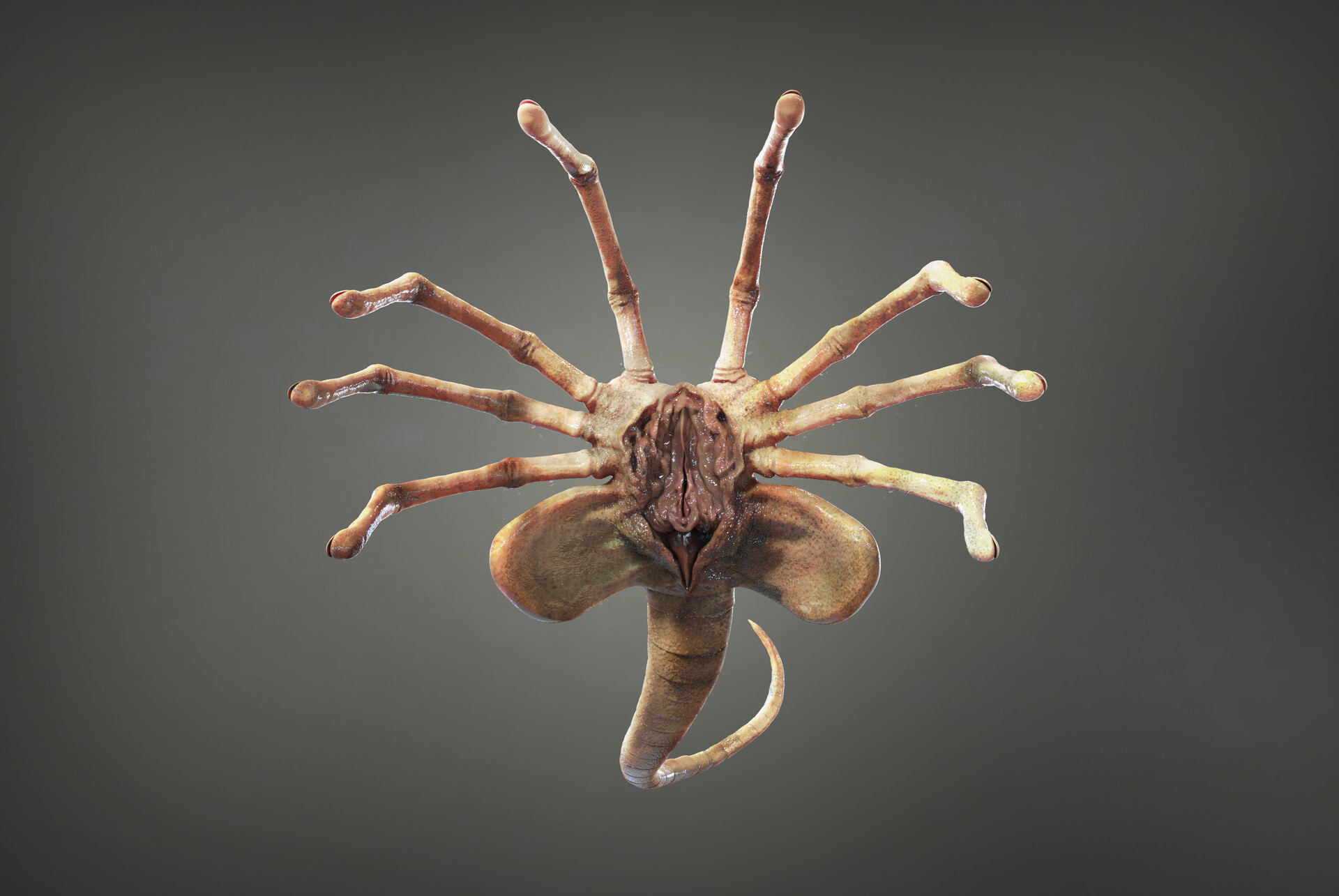 Movie MOC-89600 Facehugger-Alien